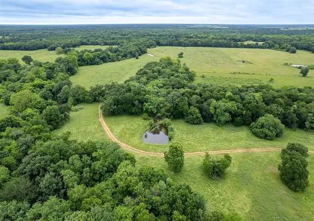 Photo 3 of Land for sale at 5286 County Road 4502, Wolfe City, TX 75496 | MLS# 21268039 | Listing updated on 2026-08-13