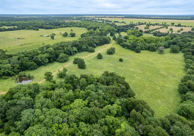 Photo 4 of Land for sale at 5286 County Road 4502, Wolfe City, TX 75496 | MLS# 21268039 | Listing updated on 2026-08-13