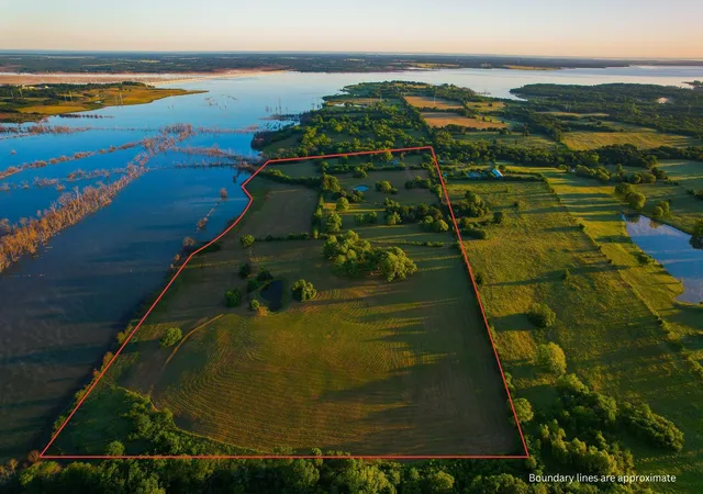 Photo 2 of Land for sale at 2000 County Road 2950, Dodd City, TX 75438 | MLS# 21272086 | Listing updated on 2026-08-31