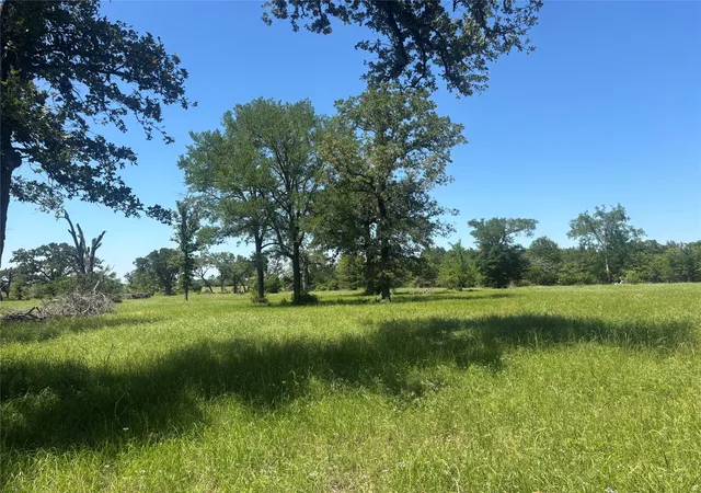 Photo 3 of Land for sale at 296 Lcr 806, Groesbeck, TX 76642 | MLS# 21265406 | Listing updated on 2026-09-01
