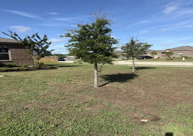 Homes for sale in Greenville, TX | 1433 Brindle Dr, Greenville, TX 75402 | MLS# 21268413