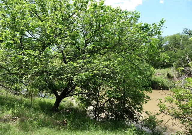 Homes for sale in Goldthwaite, TX | 588 S County Rd 430, Goldthwaite, TX 76844 | MLS# 21272780