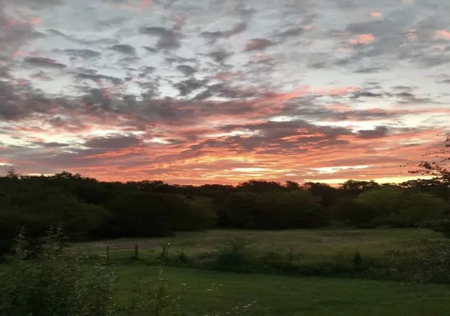 Photo 1 of Land for sale at Tbd County Road 2320, Terrell, TX 75160 | MLS# 21272953 | Listing updated on 2026-08-21