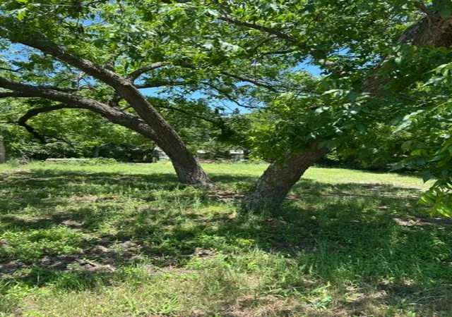 Photo 1 of Land for sale at 116 W Walnut St, Whitewright, TX 75491 | MLS# 21272975 | Listing updated on 2026-07-14
