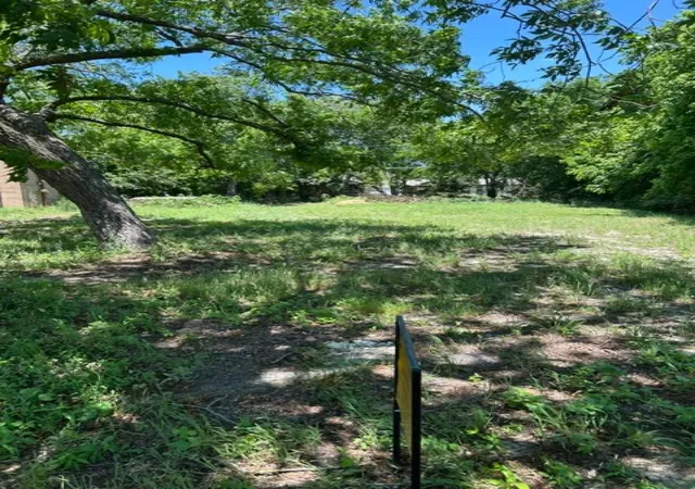 Photo 2 of Land for sale at 116 W Walnut St, Whitewright, TX 75491 | MLS# 21272975 | Listing updated on 2026-07-14