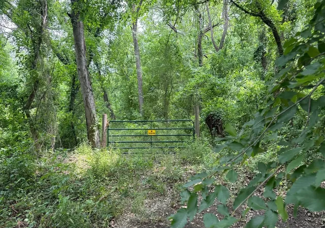 Homes for sale in Blue Ridge, TX | Tbd Cr 470, Blue Ridge, TX 75071 | MLS# 21273150