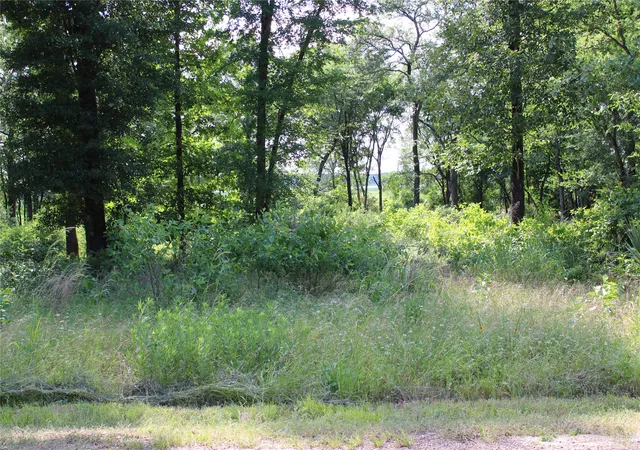 Photo 3 of Land for sale at 116 Lakeview Trail, Mabank, TX 75147 | MLS# 21273175 | Listing updated on 2026-09-26