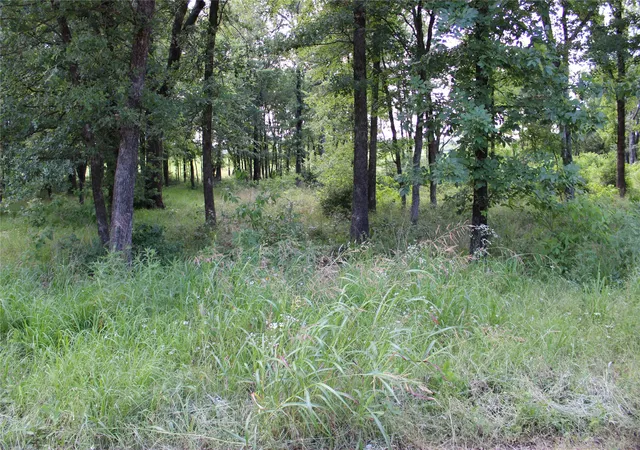 Photo 4 of Land for sale at 116 Lakeview Trail, Mabank, TX 75147 | MLS# 21273175 | Listing updated on 2026-09-26