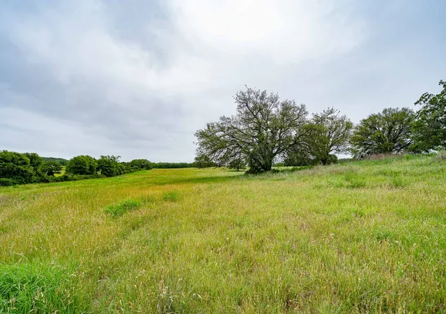 Homes for sale in Cross Plains, TX | Tbd Fm 880 S, Cross Plains, TX 76443 | MLS# 21273270