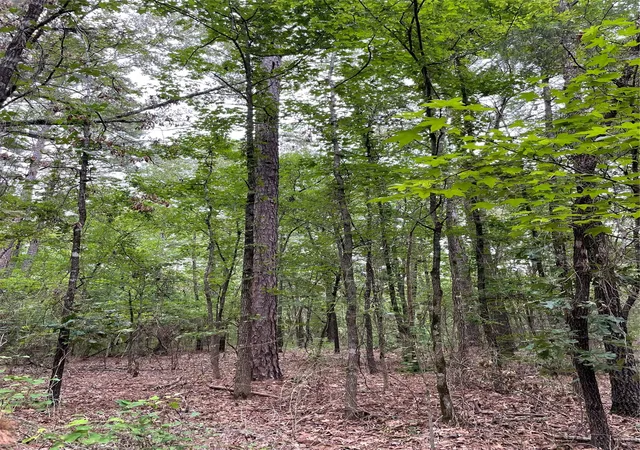 Photo 3 of Land for sale at 0000 Pr 6662, Mineola, TX 75773 | MLS# 21273612 | Listing updated on 2026-10-02