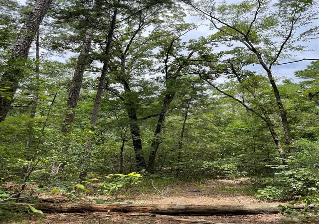 Photo 3 of Land for sale at 0000 Pr 6662, Mineola, TX 75773 | MLS# 21273612 | Listing updated on 2026-10-02