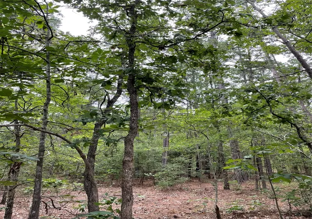 Photo 4 of Land for sale at 0000 Pr 6662, Mineola, TX 75773 | MLS# 21273612 | Listing updated on 2026-10-02