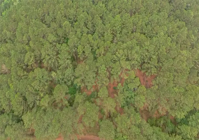 Photo 2 of Land for sale at Tbd Fcr 273, Oakwood, TX 75855 | MLS# 21270215 | Listing updated on 2026-07-10