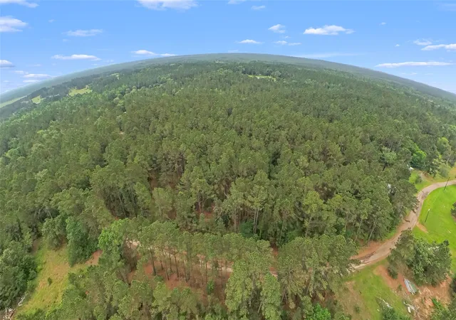 Photo 4 of Land for sale at Tbd Fcr 273, Oakwood, TX 75855 | MLS# 21270215 | Listing updated on 2026-07-10