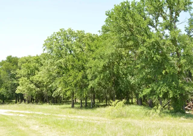 Homes for sale in Bridgeport, TX | 138 Pr 3417, Bridgeport, TX 76426 | MLS# 21267022