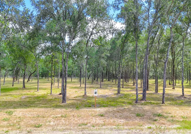 Homes for sale in Richland, TX | Lot 47 Little Pin Oak Way, Richland, TX 76681 | MLS# 21274115