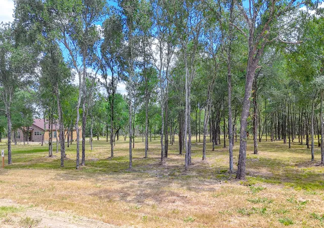 Homes for sale in Richland, TX | Lot 47 Little Pin Oak Way, Richland, TX 76681 | MLS# 21274115