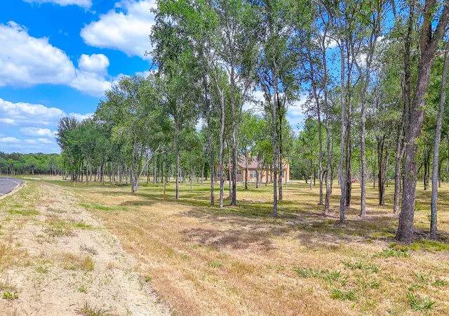 Homes for sale in Richland, TX | Lot 47 Little Pin Oak Way, Richland, TX 76681 | MLS# 21274115