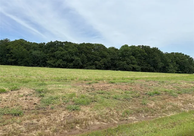 Homes for sale in Pottsboro, TX | Lot 42 White Tail Way Rd, Pottsboro, TX 75076 | MLS# 21274123