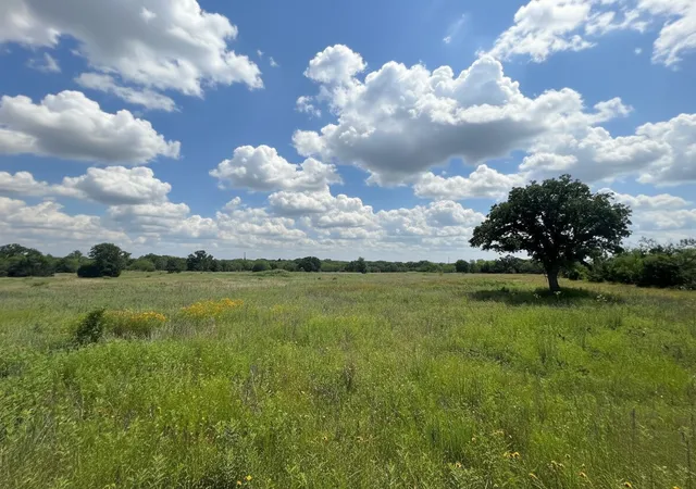 Homes for sale in Ranger, TX | 1096 County Road 345, Ranger, TX 76470 | MLS# 21274614
