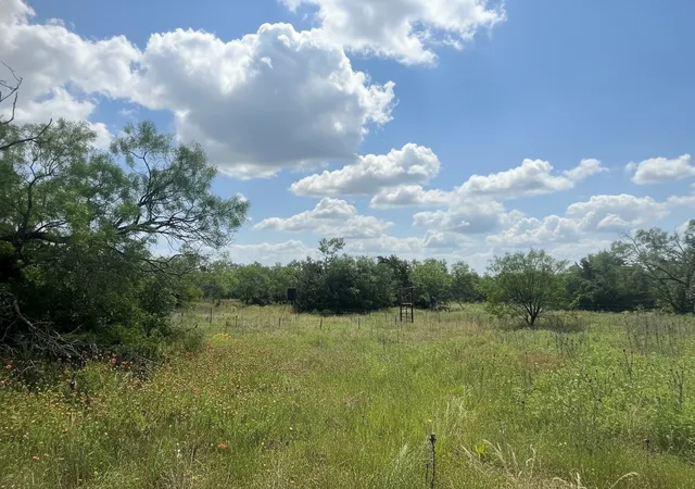 Homes for sale in Ranger, TX | 1096 County Road 345, Ranger, TX 76470 | MLS# 21274614