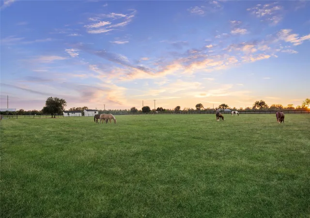 Photo 1 of Land for sale at 40570 Wild Life Run, Hempstead, TX 77445 | MLS# 21264113 | Listing updated on 2026-07-16