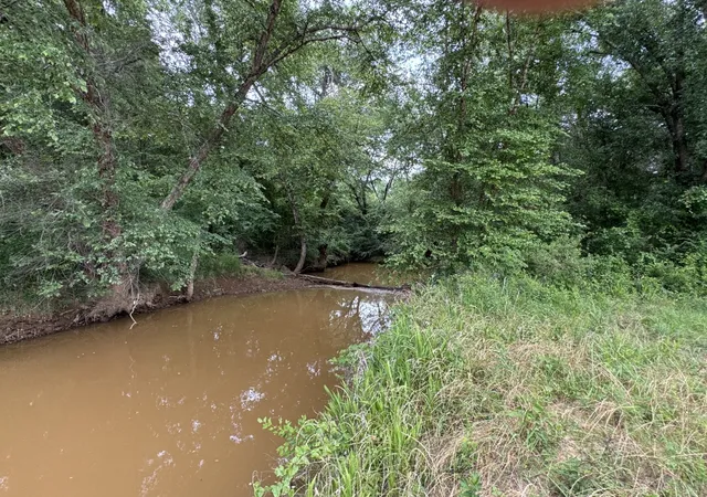 Homes for sale in Diana, TX | Tbd Hwy 259, Diana, TX 75640 | MLS# 21274744