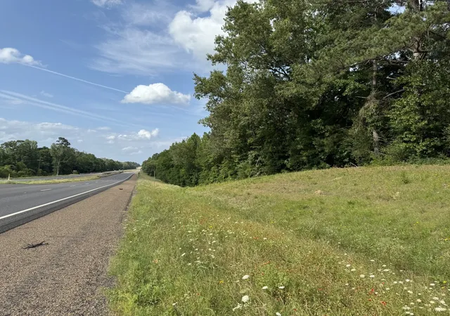 Homes for sale in Diana, TX | Tbd Hwy 259, Diana, TX 75640 | MLS# 21274744