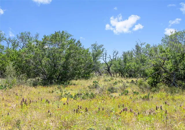 Homes for sale in Brookesmith, TX | 16137 Hwy 377 S, Brookesmith, TX 76827 | MLS# 21264241