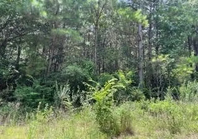 Homes for sale in Pittsburg, TX | Lot 4 Fm 556, Pittsburg, TX 75686 | MLS# 21275110