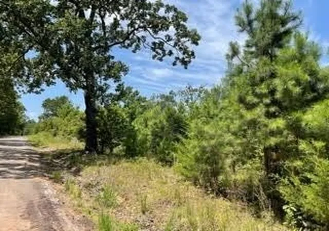 Homes for sale in Pittsburg, TX | Lot 7 Fm 556, Pittsburg, TX 75686 | MLS# 21275148