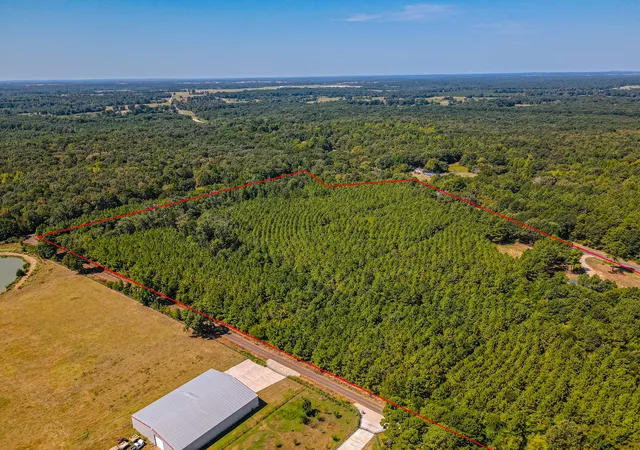 Photo 3 of Land for sale at Lot 7 Fm 556, Pittsburg, TX 75686 | MLS# 21275148 | Listing updated on 2026-08-29
