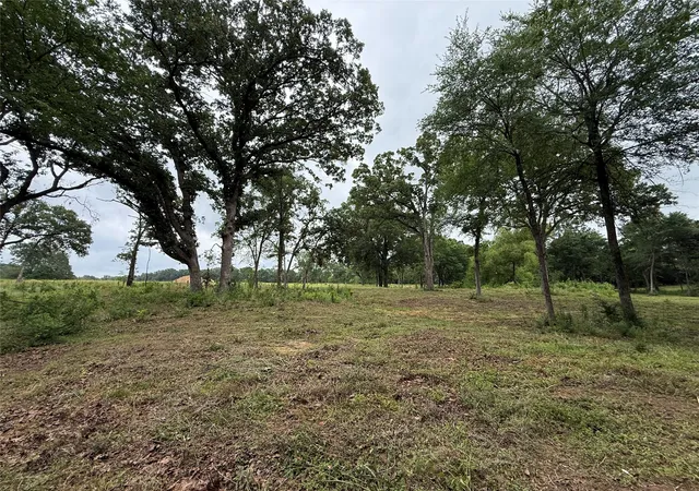 Photo 2 of Land for sale at 200 Livingston St, Edgewood, TX 75117 | MLS# 21269806 | Listing updated on 2026-08-24