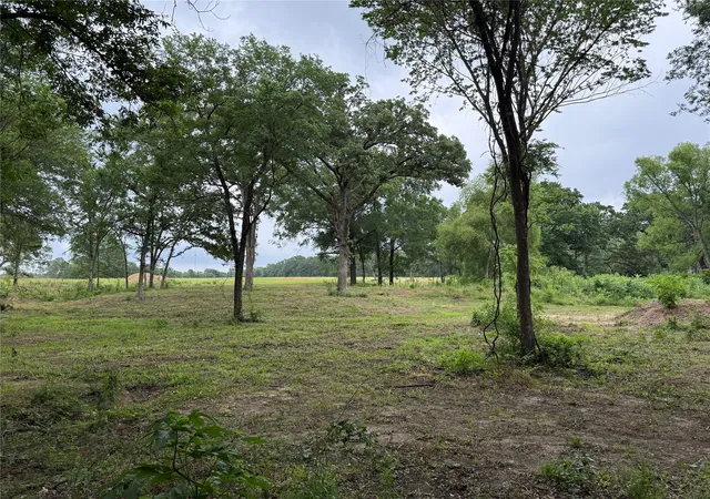 Photo 3 of Land for sale at 200 Livingston St, Edgewood, TX 75117 | MLS# 21269806 | Listing updated on 2026-08-24