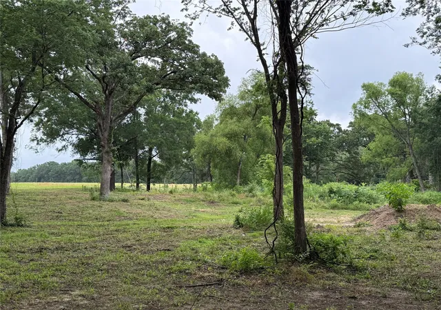 Photo 4 of Land for sale at 200 Livingston St, Edgewood, TX 75117 | MLS# 21269806 | Listing updated on 2026-08-24
