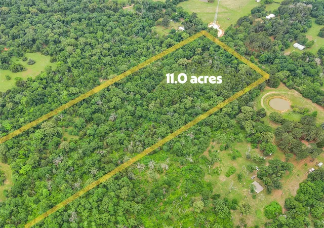 Homes for sale in Oakwood, TX | Tbd Cr 261, Oakwood, TX 75855 | MLS# 21275260