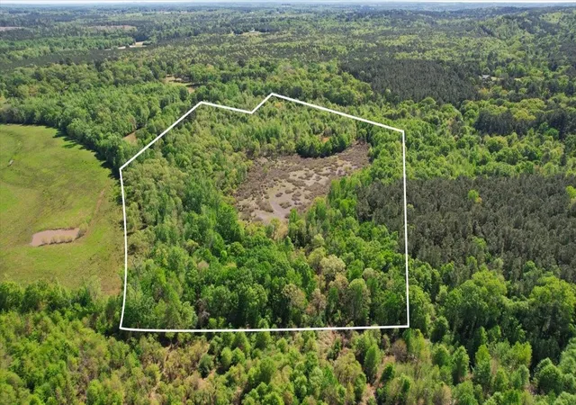 Homes for sale in Daingerfield, TX | Tbd Cr 1143, Daingerfield, TX 75638 | MLS# 21274485