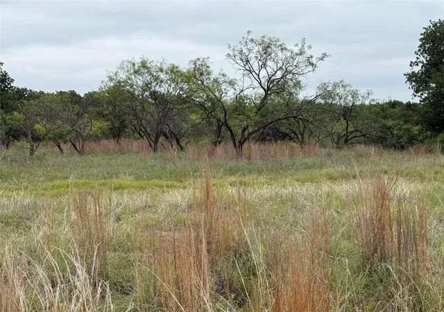 Homes for sale in Chico, TX | Lot 237 Vista Pointe Dr, Chico, TX 76431 | MLS# 21275704