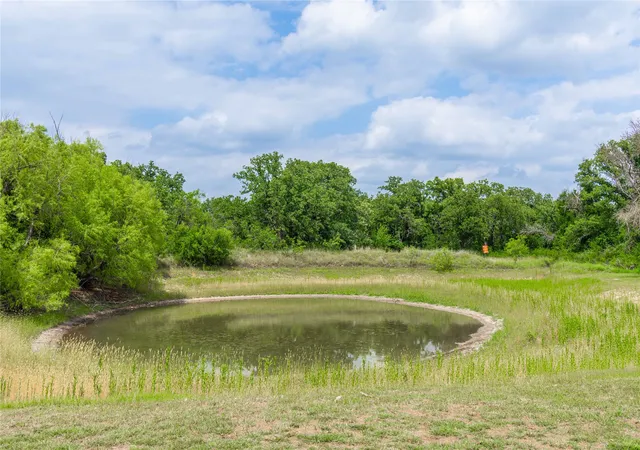 Homes for sale in May, TX | 15500 County Road 417, May, TX 76857 | MLS# 21275993