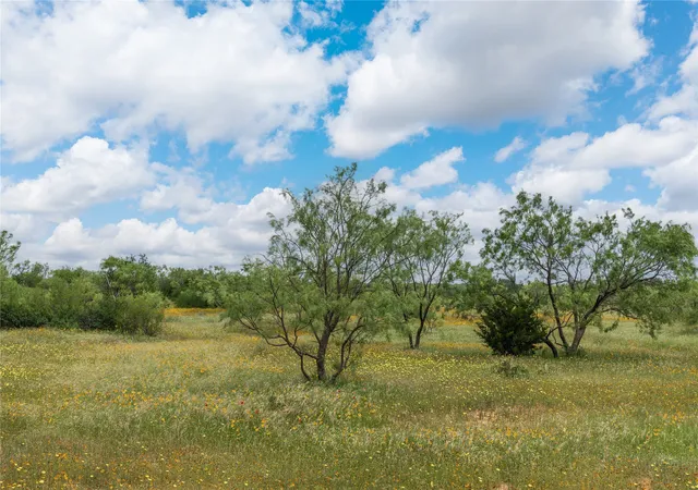 Homes for sale in May, TX | 15500 County Road 417, May, TX 76857 | MLS# 21275993