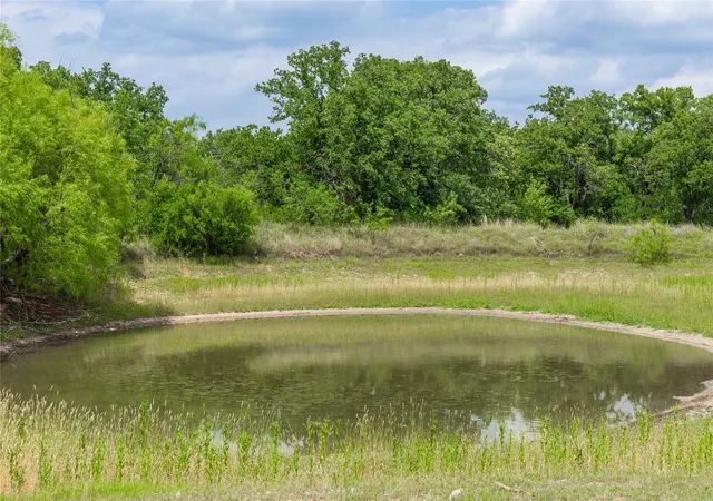 Homes for sale in May, TX | 15500 County Road 417, May, TX 76857 | MLS# 21275993