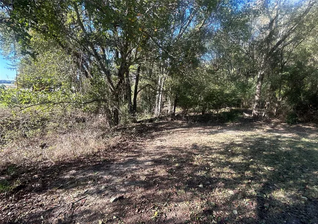 Photo 4 of Land for sale at 0 Lake Ln, Eustace, TX 75124 | MLS# 21276080 | Listing updated on 2026-07-22