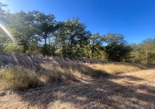 Homes for sale in Malakoff, TX | 58 Point Lavista, Malakoff, TX 75148 | MLS# 21276113