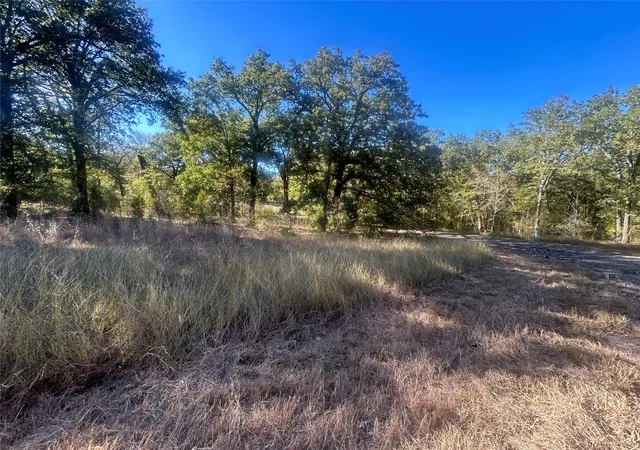 Photo 3 of Land for sale at 58 Point Lavista, Malakoff, TX 75148 | MLS# 21276113 | Listing updated on 2026-07-22