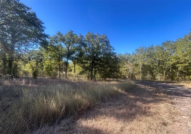 Photo 3 of Land for sale at 58 Point Lavista, Malakoff, TX 75148 | MLS# 21276113 | Listing updated on 2026-07-22