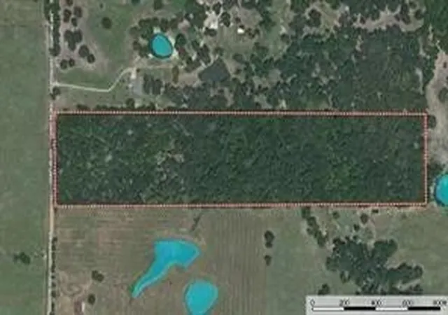 Homes for sale in Honey Grove, TX | Tbd County Rd 2415, Honey Grove, TX 75446 | MLS# 21273348