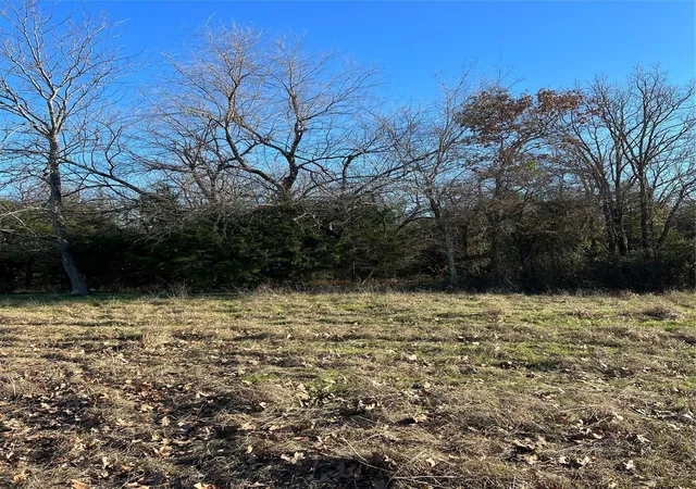 Homes for sale in Honey Grove, TX | Tbd County Rd 2415, Honey Grove, TX 75446 | MLS# 21273348