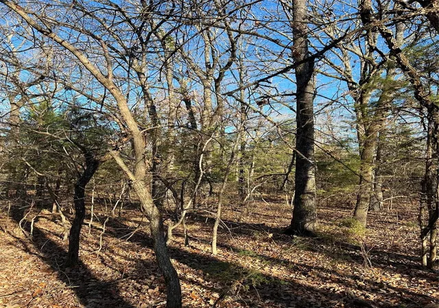 Homes for sale in Honey Grove, TX | Tbd County Rd 2415, Honey Grove, TX 75446 | MLS# 21273348