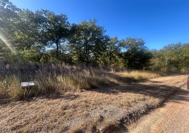 Homes for sale in Malakoff, TX | 57 Point Lavista, Malakoff, TX 75148 | MLS# 21276120