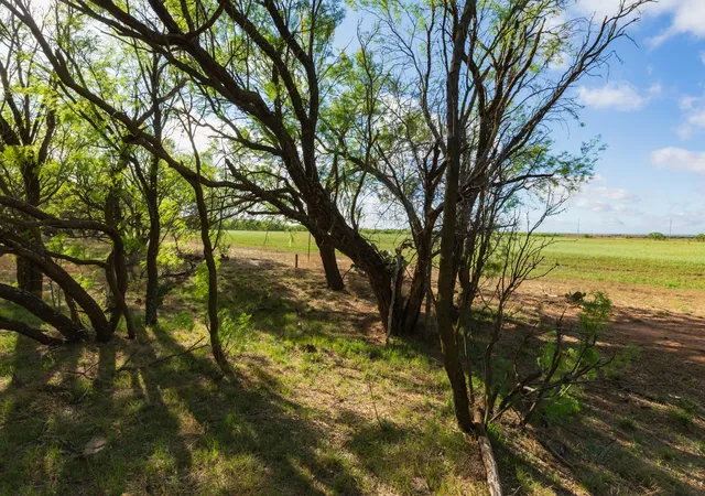 Homes for sale in Haskell, TX | Tbd Farm Market 600 Hwy, Haskell, TX 79521 | MLS# 21273802